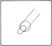 Finger
